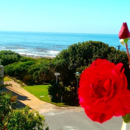 Belle Vue Guesthouse Hermanus Luaran gambar