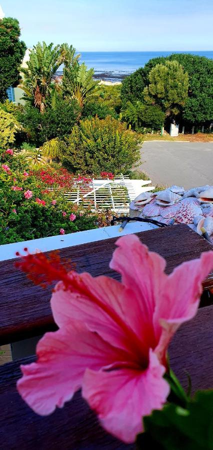 Belle Vue Guesthouse Hermanus Luaran gambar