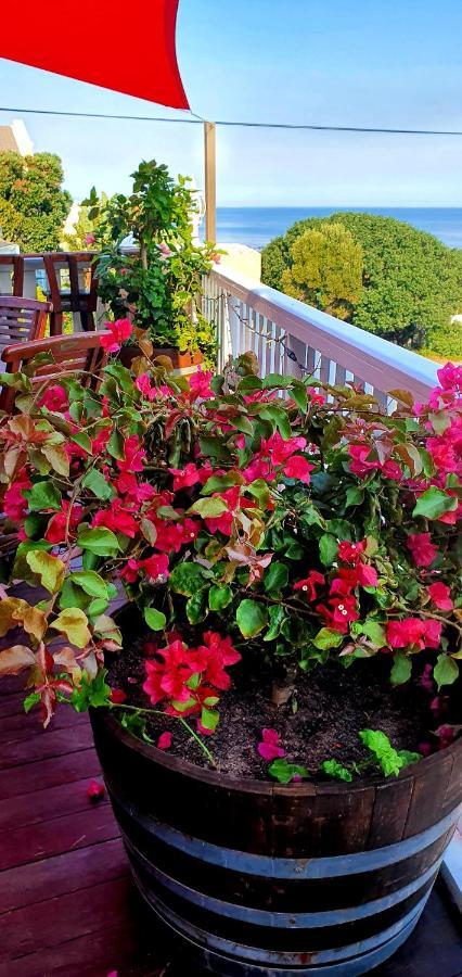 Belle Vue Guesthouse Hermanus Luaran gambar