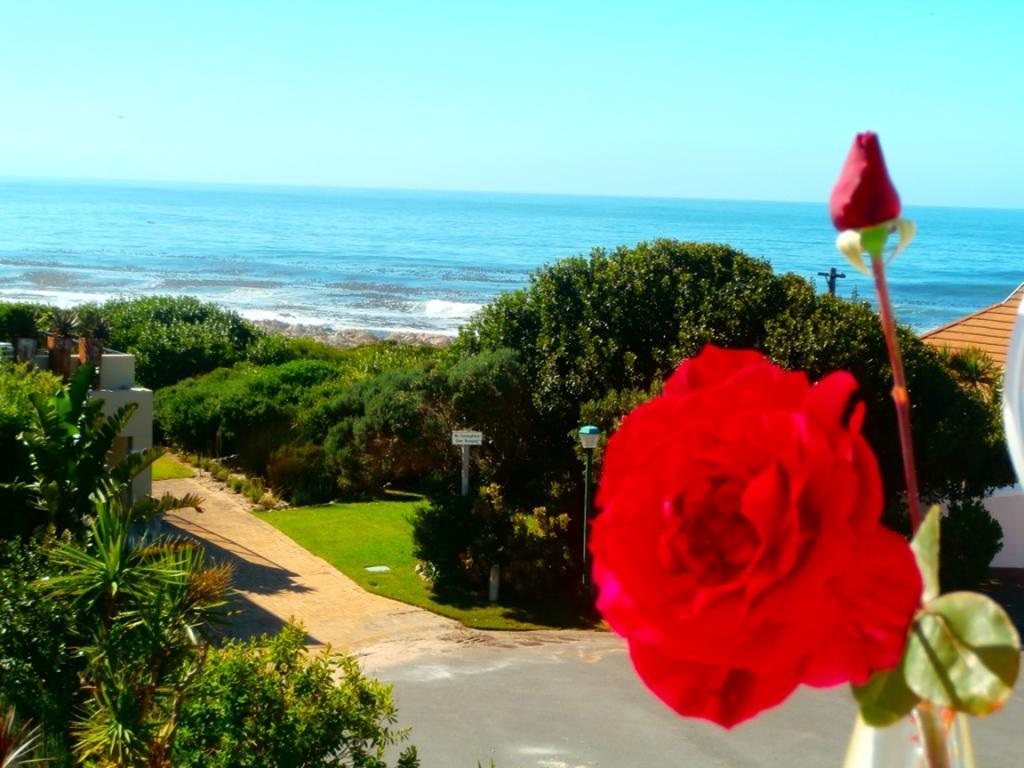 Belle Vue Guesthouse Hermanus Luaran gambar
