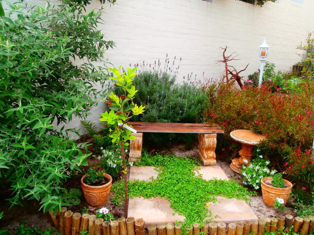 Belle Vue Guesthouse Hermanus Luaran gambar