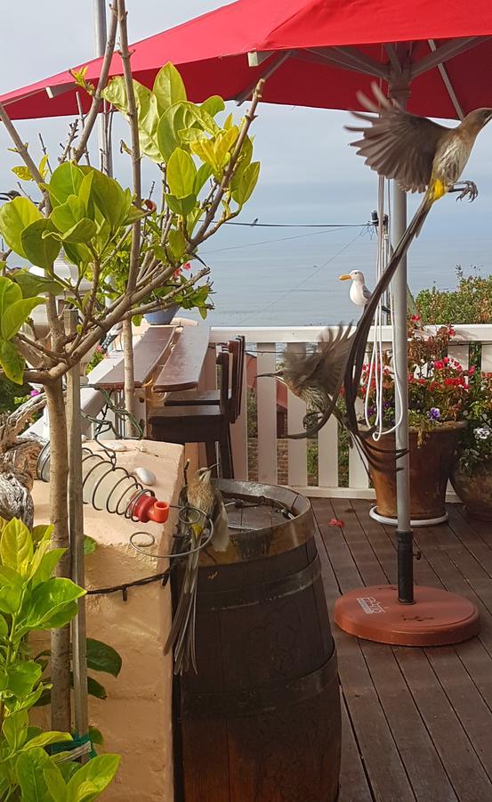 Belle Vue Guesthouse Hermanus Luaran gambar
